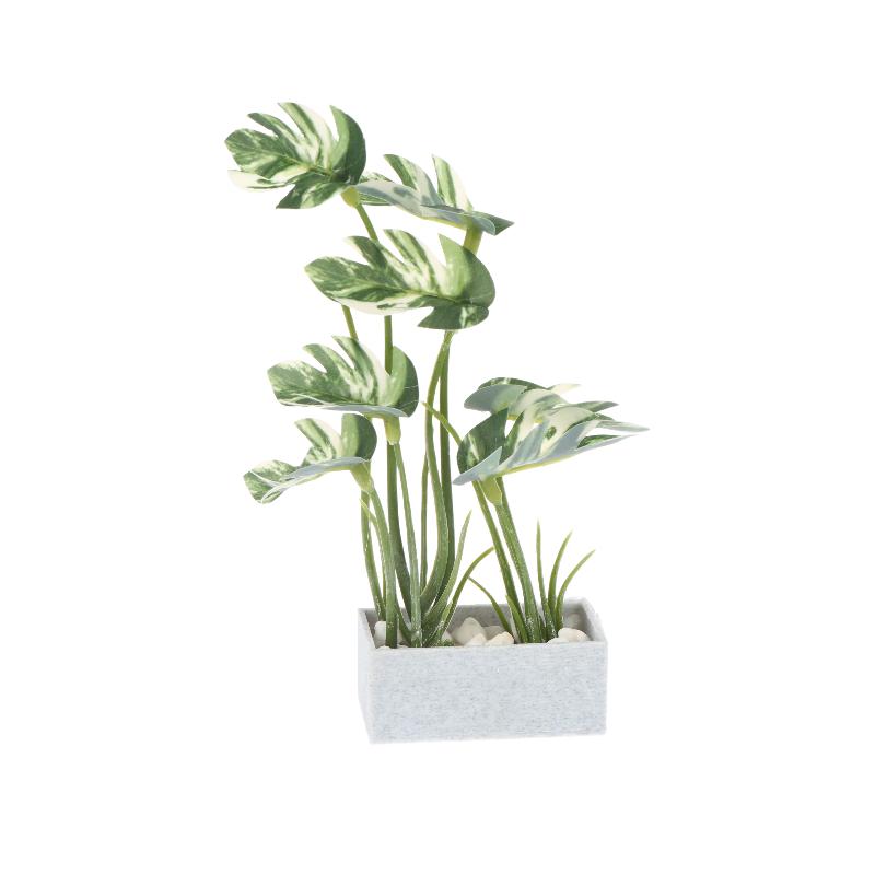 Miniature Turtle Back Bamboo Potted Plant Ornament Dollhouse Greenery Model Dollhouse Mini Garden Scene Decor Micro Photo Props A1
Miniature Turtle Back Bamboo Potted Plant Ornament Dollhouse Greenery Model Dollhouse Mini Garden Scene Decor Micro Photo Props A1