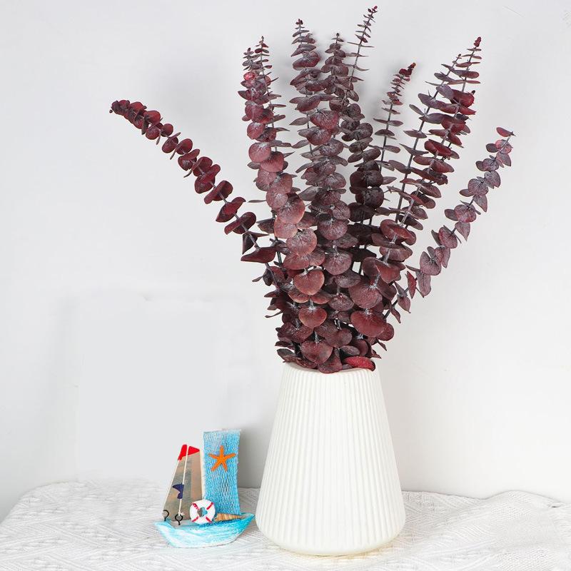 Eucalyptus Leaves Eucalyptus Leaves Home Decoration Ornaments Nordic Style Soft Decoration With Eucalyptus Leaves
Eucalyptus Leaves Eucalyptus Leaves Home Decoration Ornaments Nordic Style Soft Decoration With Eucalyptus Leaves