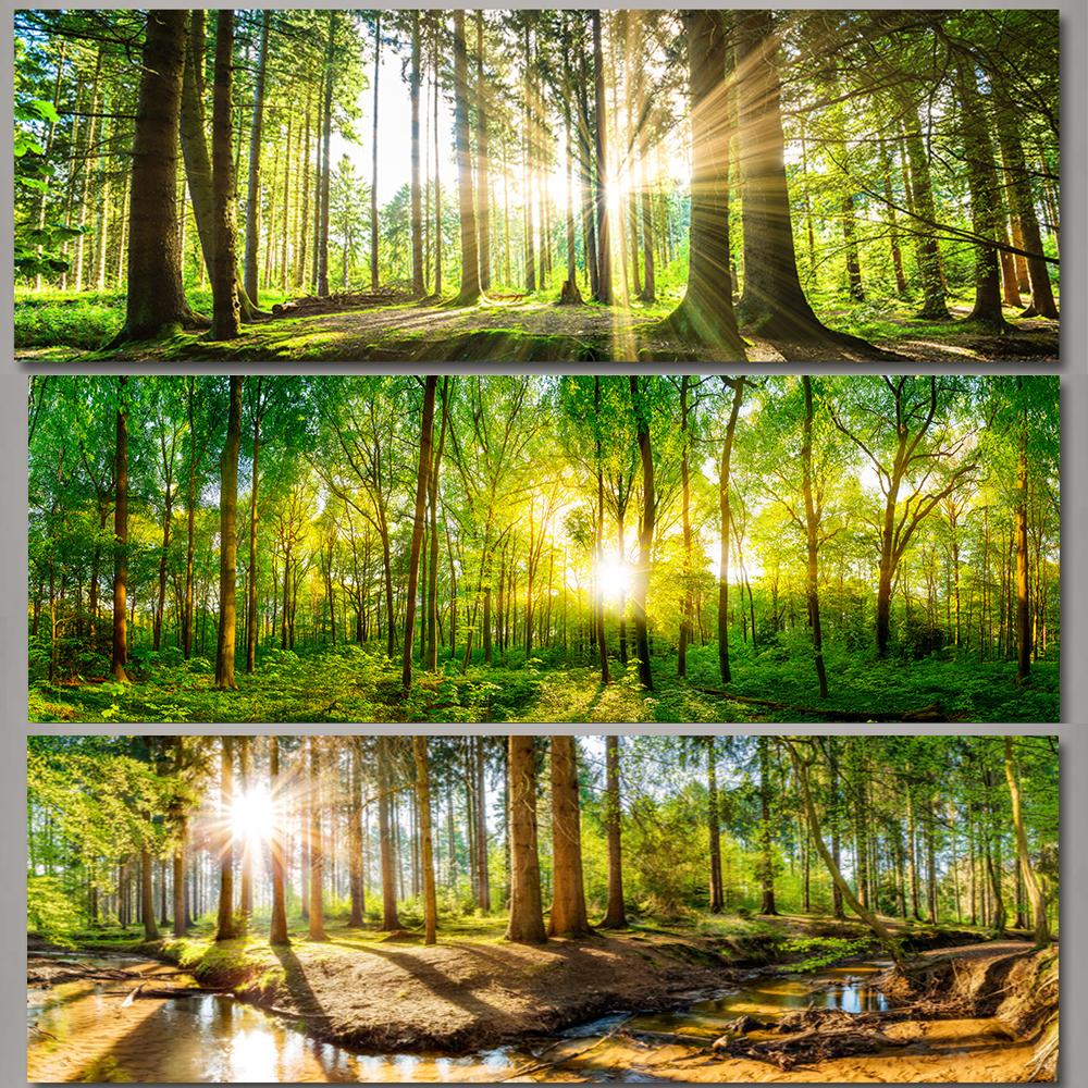 Природные пейзажи, лесная панорама, HD фотографии, холст, живопись, настенное искусство, солнечный свет, солнечное зеленое дерево, постеры для декора гостиной
Природные пейзажи, лесная панорама, HD фотографии, холст, живопись, настенное искусство, солнечный свет, солнечное зеленое дерево, постеры для декора гостиной