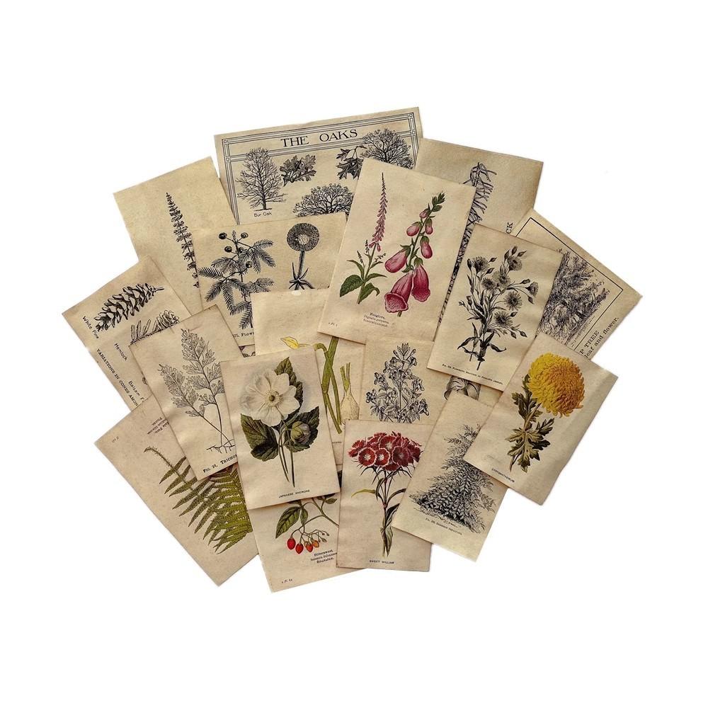 Coffee Dyed Paper Illustrated Flower Plants Scrapbooking Material Human Skeler Label Stars Stationery Album Form Decoration
Coffee Dyed Paper Illustrated Flower Plants Scrapbooking Material Human Skeler Label Stars Stationery Album Form Decoration