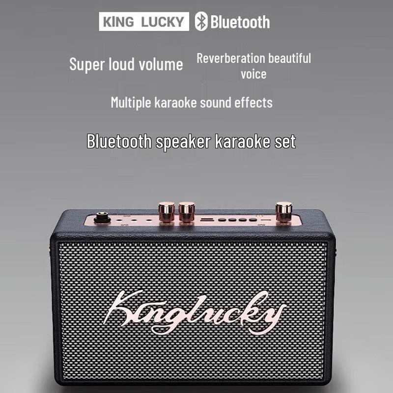 Jinyun S16 Outdoor Bluetooth Karaoke Speaker
Jinyun S16 Outdoor Bluetooth Karaoke Speaker