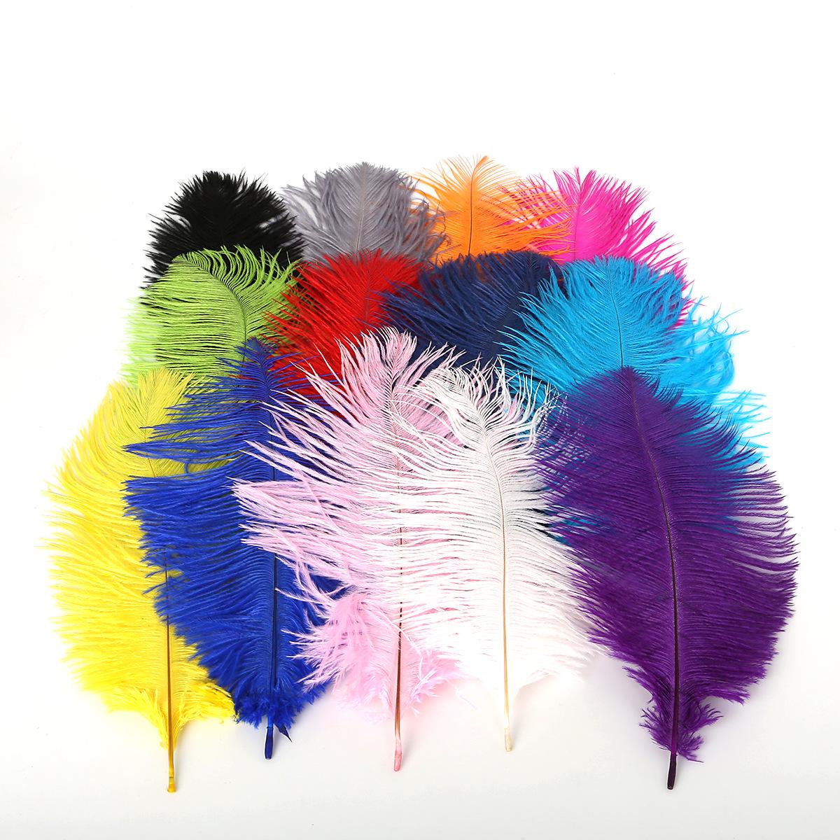 Ostrich Feather Earrings & Hair Accessories DIY Kit - White Feathers for Handmade Wedding Decorations
Ostrich Feather Earrings & Hair Accessories DIY Kit - White Feathers for Handmade Wedding Decorations