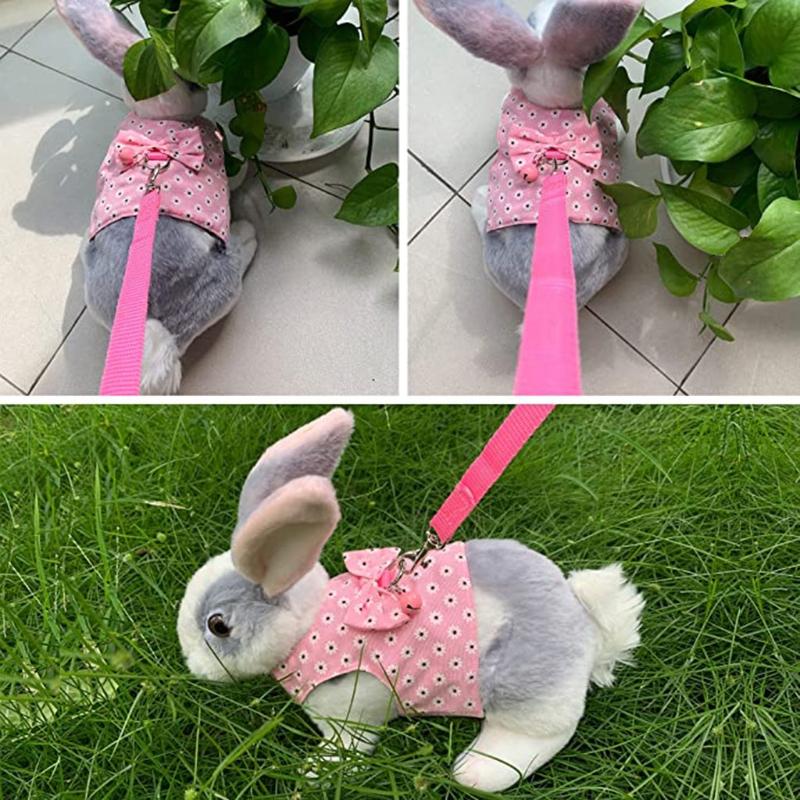 Bunny Harness and Leash Rabbit Vest for Guinea Pig Ferret Chinchilla Hamster Lovely Costume 3 Sizes Colors B03E S
Bunny Harness and Leash Rabbit Vest for Guinea Pig Ferret Chinchilla Hamster Lovely Costume 3 Sizes Colors B03E S