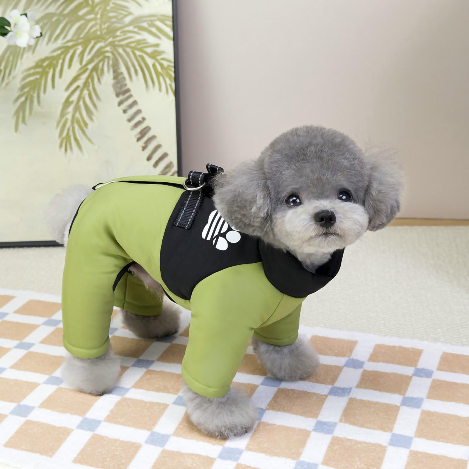 JYIXTN Dog Winter Cotton Coat Down Vest Style Open with Integrated Cotton Waterproof Easy to Put On and Take Warm Pet Snow Small Dog Clothing, Jacket, зелёный
JYIXTN Dog Winter Cotton Coat Down Vest Style Open with Integrated Cotton Waterproof Easy to Put On and Take Warm Pet Snow Small Dog Clothing, Jacket, зелёный
