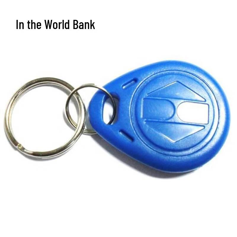 Keychain ID Card CN plug (adapter included)
Keychain ID Card CN plug (adapter included)