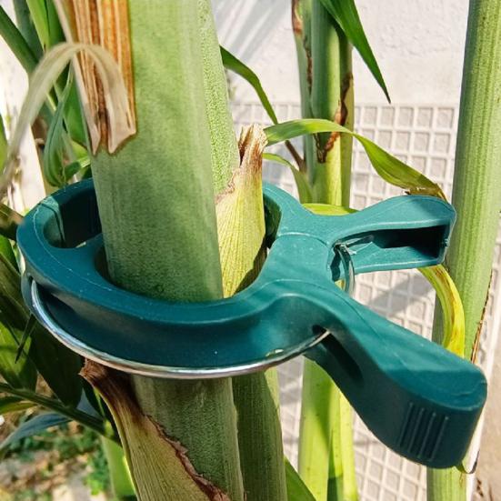 Yousheng 50 Pcs Reusable Plant Clips Gentle Gardening Lever Loop Gripper Clips Climbing Plants Support Clips for Supporting Straightening Plant 50pcs
Yousheng 50 Pcs Reusable Plant Clips Gentle Gardening Lever Loop Gripper Clips Climbing Plants Support Clips for Supporting Straightening Plant 50pcs