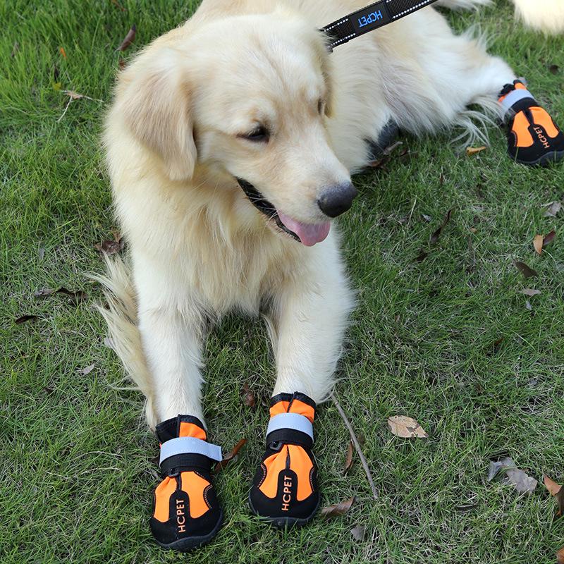 Wear-Resistant Waterproof Non-Slip Dog Shoes for Large Breeds Size 7
Wear-Resistant Waterproof Non-Slip Dog Shoes for Large Breeds Size 7