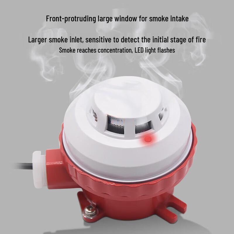 Smart Explosion-Proof Smoke Detector with Buzzer
Smart Explosion-Proof Smoke Detector with Buzzer