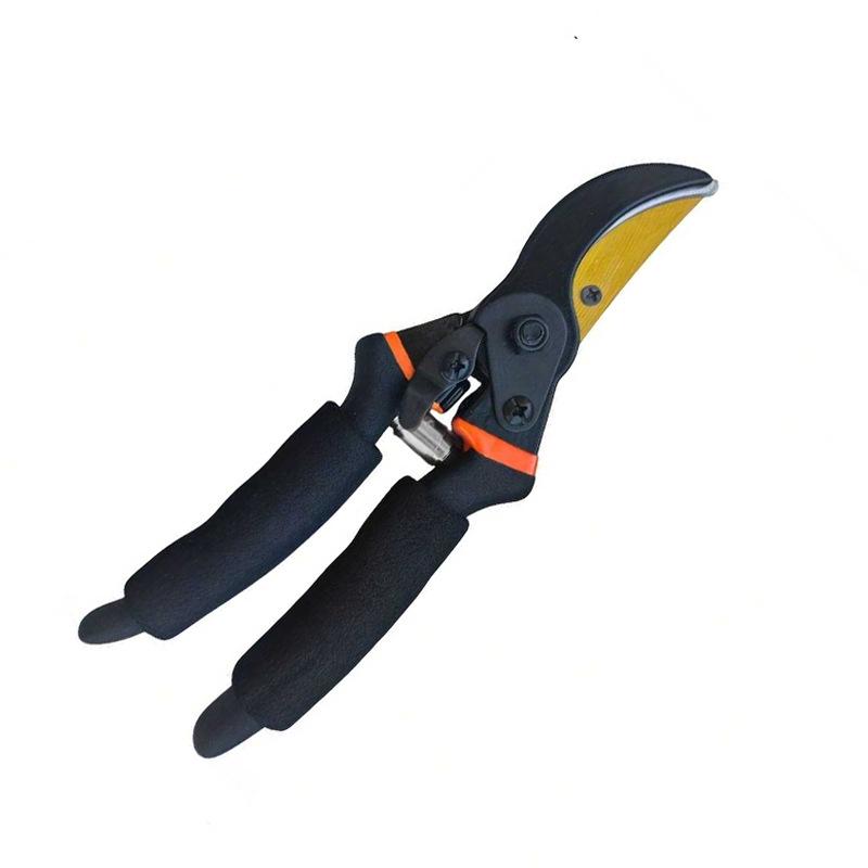 Horticultural Scissors: Garden Pruning Shears for Trees, Branches, and Floral Art.
Horticultural Scissors: Garden Pruning Shears for Trees, Branches, and Floral Art.