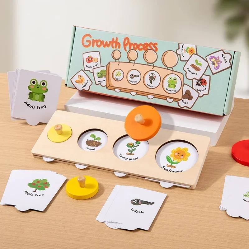Children Toy Montessori Educational Wooden Sorting Matching Board Growth Process Cognize Preschool Learning Puzzle Game for Kids
Children Toy Montessori Educational Wooden Sorting Matching Board Growth Process Cognize Preschool Learning Puzzle Game for Kids