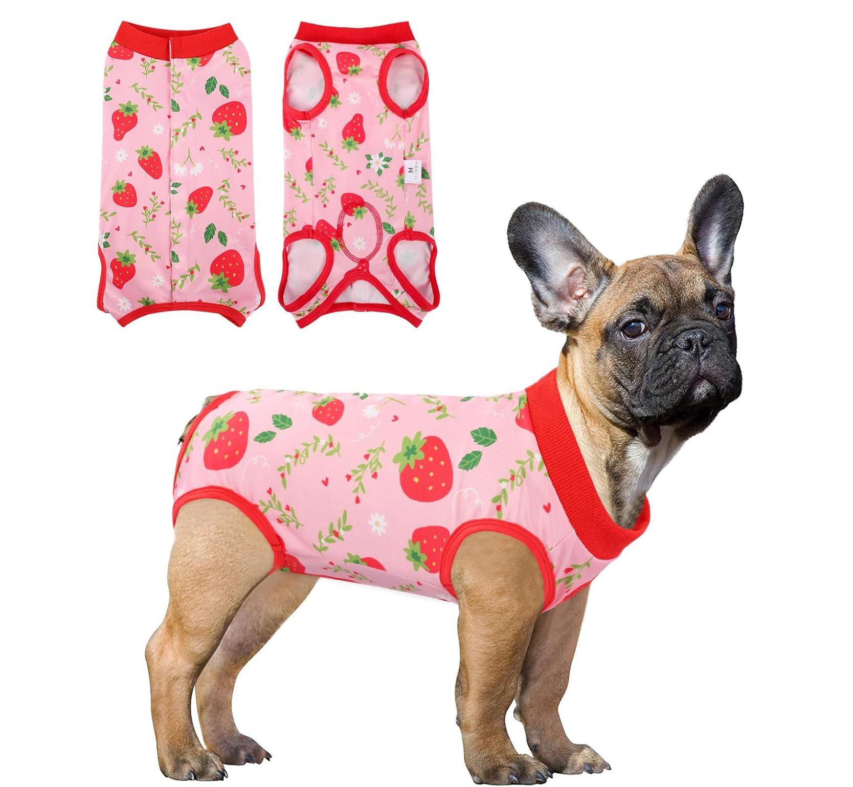 Post-Surgery Pet Sterilization Suit & Elizabethan Collar, Unisex, Anti-Licking/Biting S
Post-Surgery Pet Sterilization Suit & Elizabethan Collar, Unisex, Anti-Licking/Biting S
