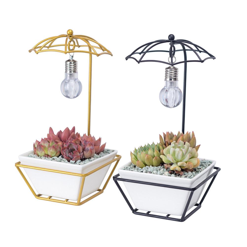 1Set Creative Light Bulb Succulent Flowerpot Ceramic Iron Material Plant Holder Home Office Decor Gift for Plant Lovers золотистый
1Set Creative Light Bulb Succulent Flowerpot Ceramic Iron Material Plant Holder Home Office Decor Gift for Plant Lovers золотистый