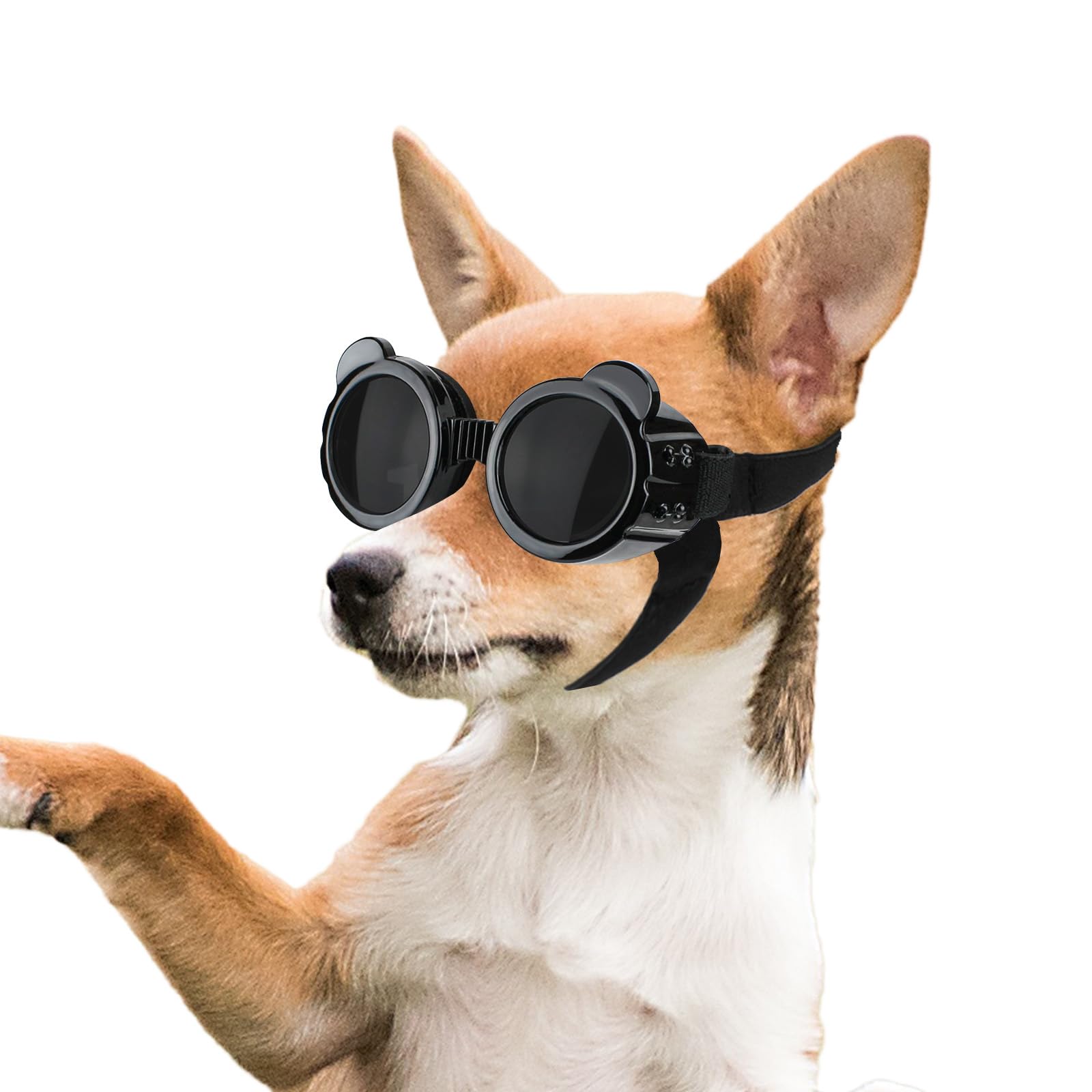 Очки для собак Enjoying Small Dog Goggles Panda Style UV Lens Dog Sunglasses для маленьких собак Защита глаз Очки для кошек Ветрозащитный Снегостойкий Черный Анти-туман
Очки для собак Enjoying Small Dog Goggles Panda Style UV Lens Dog Sunglasses для маленьких собак Защита глаз Очки для кошек Ветрозащитный Снегостойкий Черный Анти-туман