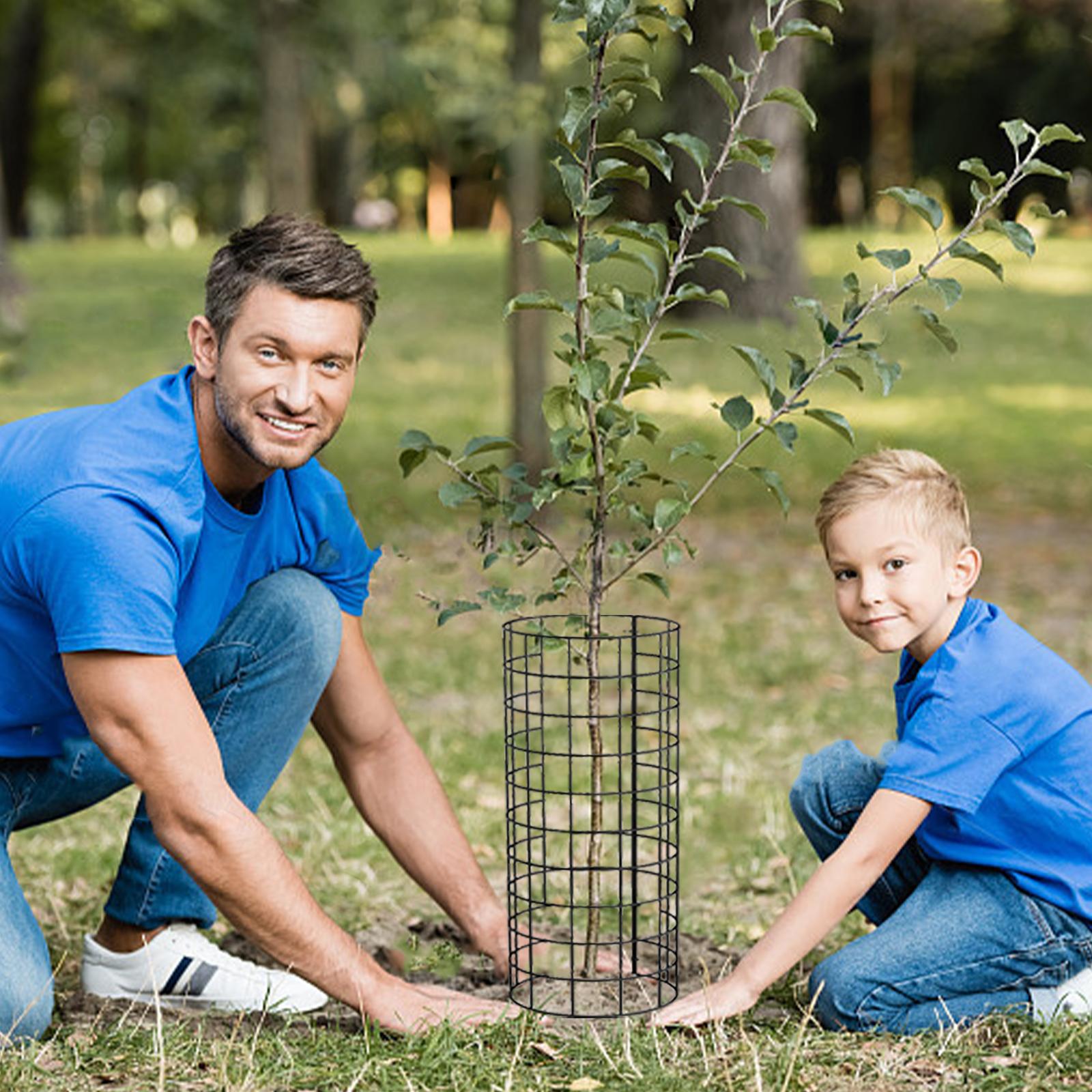 6 шт. Защитное приспособление для ствола дерева с металлическими кольями, защита растений, садовая клетка, защита растений для предотвращения повреждения ствола дерева
6 шт. Защитное приспособление для ствола дерева с металлическими кольями, защита растений, садовая клетка, защита растений для предотвращения повреждения ствола дерева