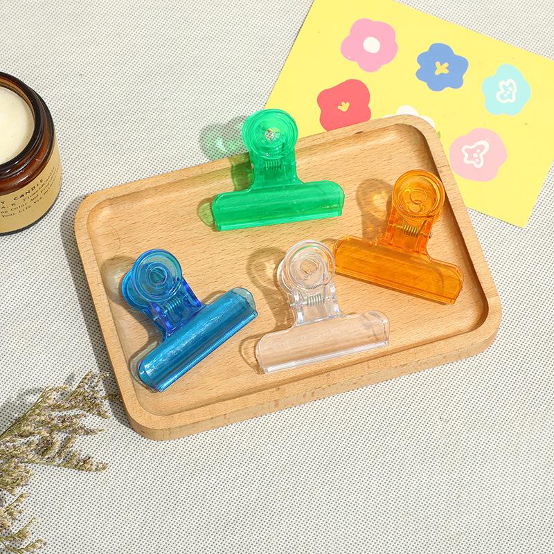 Transparent Colored Plastic Document Clip Tube 31mm - 24 pcs/tube
Transparent Colored Plastic Document Clip Tube 31mm - 24 pcs/tube