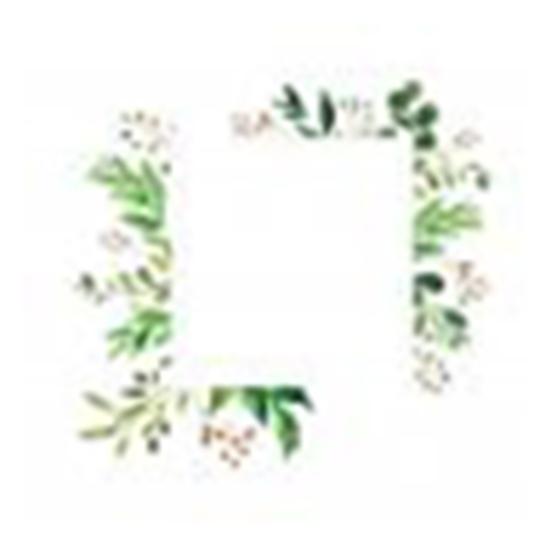 Зеленые листья Главная Светящийся выключатель Защитная крышка Наклейка на стену Розетка Декор 1
Зеленые листья Главная Светящийся выключатель Защитная крышка Наклейка на стену Розетка Декор 1