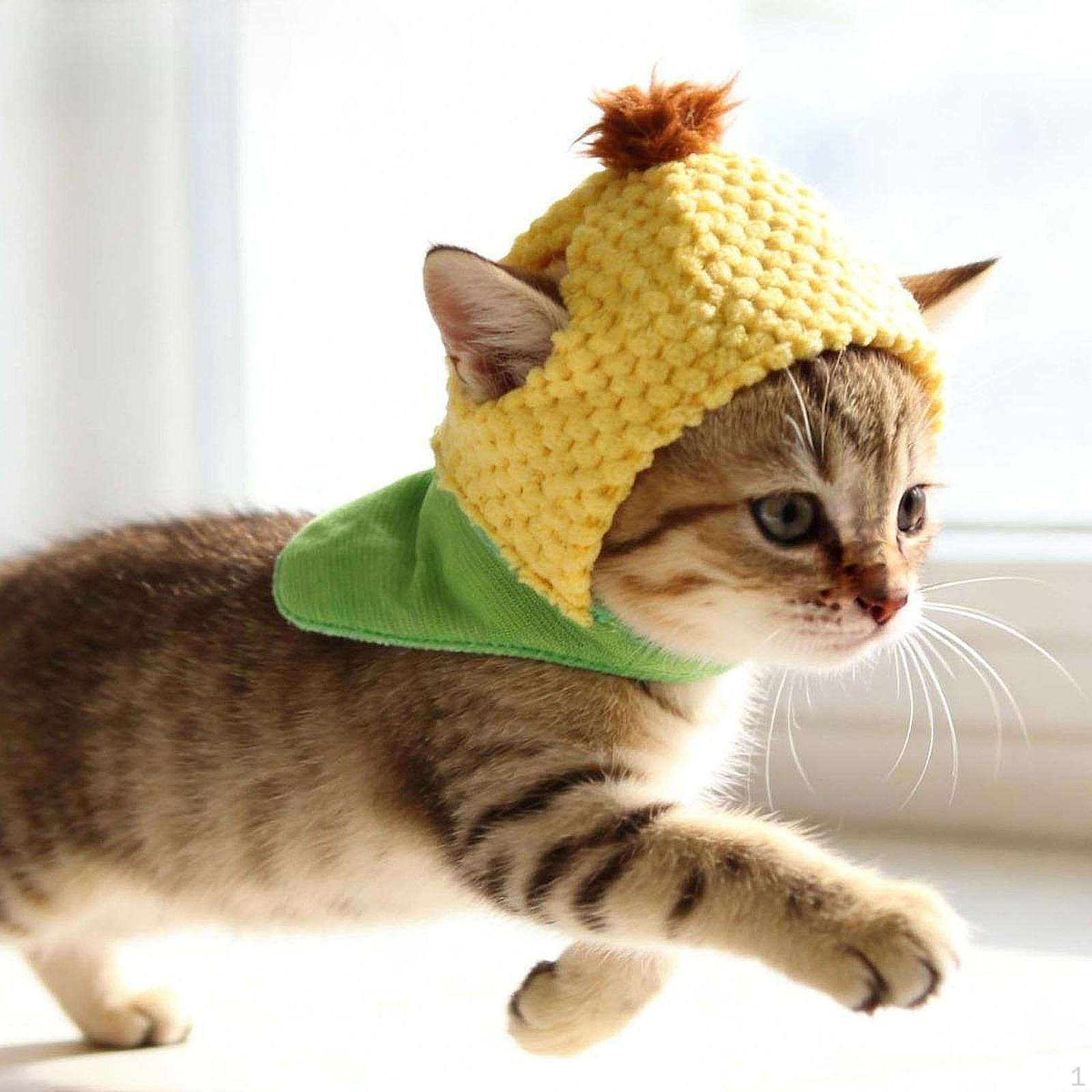 Cute Cat Costume Hat Corn Headgear,Dress up Cosplay Funny Party Accessory Soft for Puppy
Cute Cat Costume Hat Corn Headgear,Dress up Cosplay Funny Party Accessory Soft for Puppy