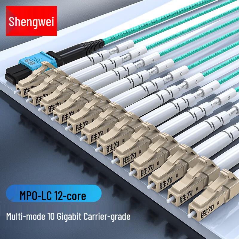 Shenwei MPO-LC 12-Core OM4 Multimode Fiber Patch Cable
Shenwei MPO-LC 12-Core OM4 Multimode Fiber Patch Cable
