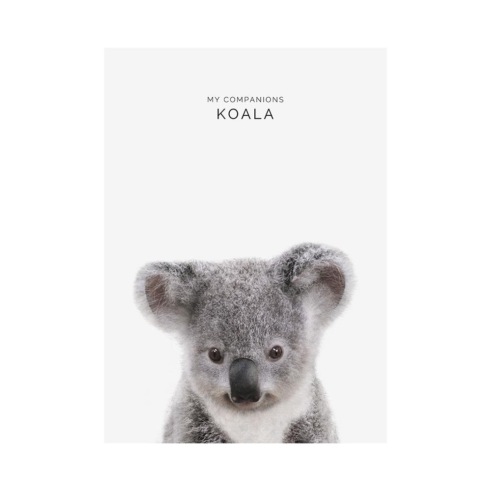 Детская комната животное настенная живопись холст слон жираф медведь настенные художественные принты картина скандинавское искусство постер для детской комнаты декор детской комнаты 20x30cm
Детская комната животное настенная живопись холст слон жираф медведь настенные художественные принты картина скандинавское искусство постер для детской комнаты декор детской комнаты 20x30cm