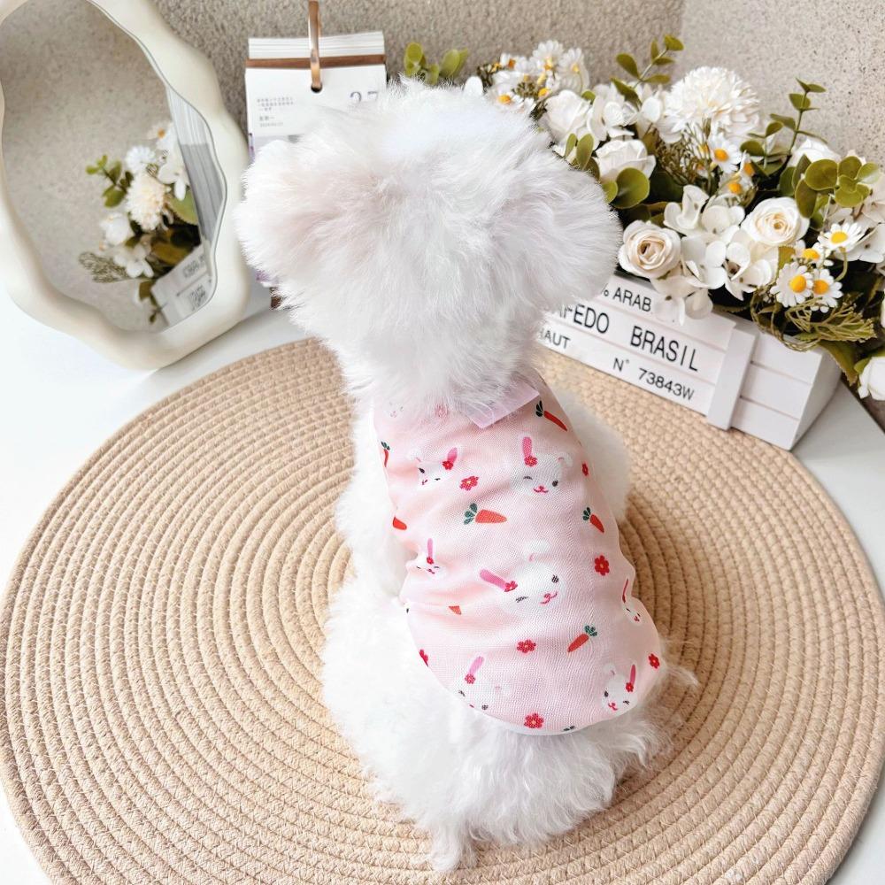 Puppy pullover 2XL
Puppy pullover 2XL