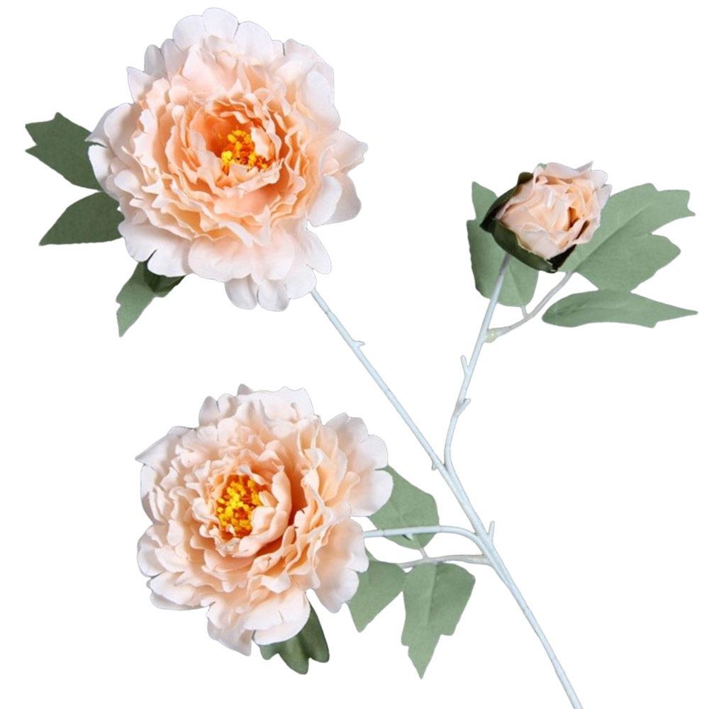 3 Heads Artificial Peony Flower Silk Floral Arrangement Flowers Bouquet Realistic Multicolor Big Heads Flowers Photography Props темно-рожевого кольору
3 Heads Artificial Peony Flower Silk Floral Arrangement Flowers Bouquet Realistic Multicolor Big Heads Flowers Photography Props темно-рожевого кольору