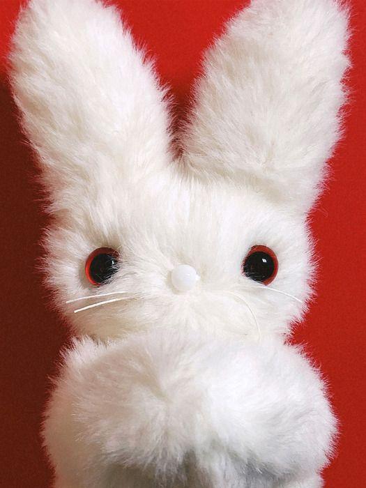 VOEF NiNi BUNNY FRIENDS БРЕЛОК_АЛЬБИНОС ALBINO
VOEF NiNi BUNNY FRIENDS БРЕЛОК_АЛЬБИНОС ALBINO