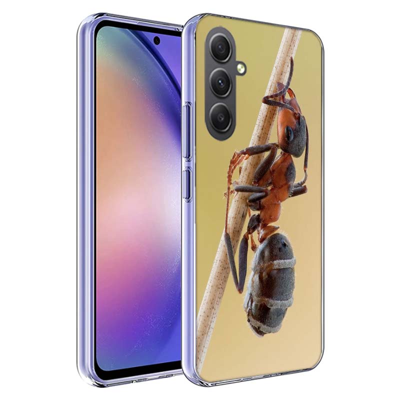 Red Fire Ants, Worker Ants Phone Case for Samsung A17 A37 A57 A07 A16 A26 A36 A56 A06 A02S A12 A22 A32 A52S A04S A14 A24 A34 A54 Samsung A52S 5G
Red Fire Ants, Worker Ants Phone Case for Samsung A17 A37 A57 A07 A16 A26 A36 A56 A06 A02S A12 A22 A32 A52S A04S A14 A24 A34 A54 Samsung A52S 5G