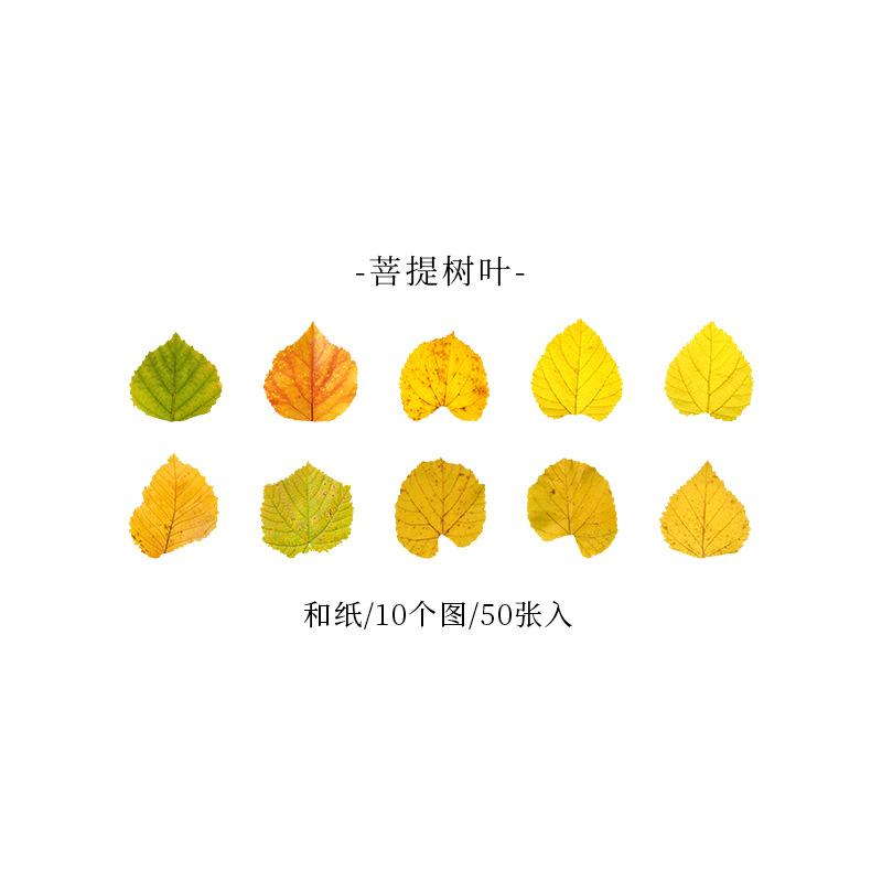 50 pcs Yellow Autumn Leaves Series, Creative Plant Stickers for Hand Account Decoration
50 pcs Yellow Autumn Leaves Series, Creative Plant Stickers for Hand Account Decoration