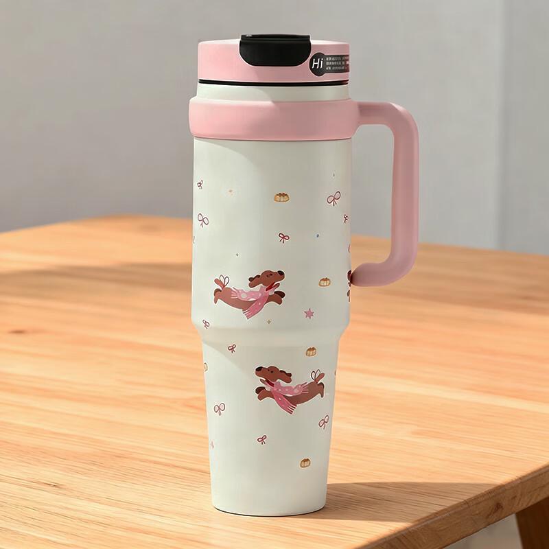 APLO Jumbo Insulated Water Bottle
APLO Jumbo Insulated Water Bottle