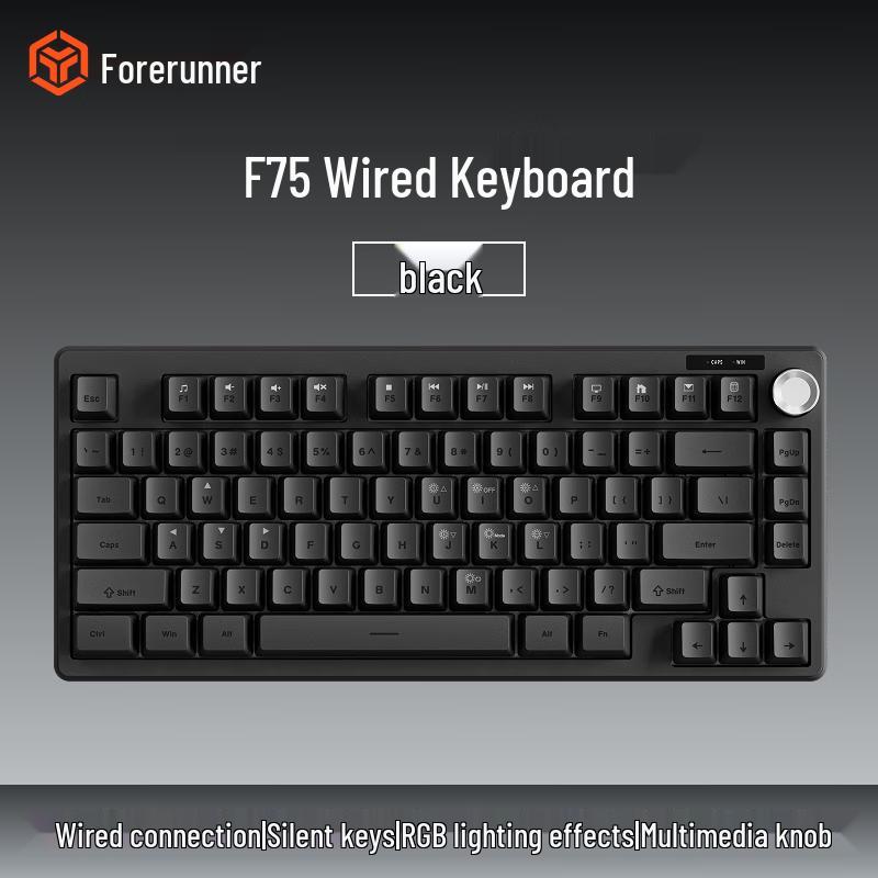 Forerunner F75 RGB Дротова Механічна Клавіатура
Forerunner F75 RGB Дротова Механічна Клавіатура