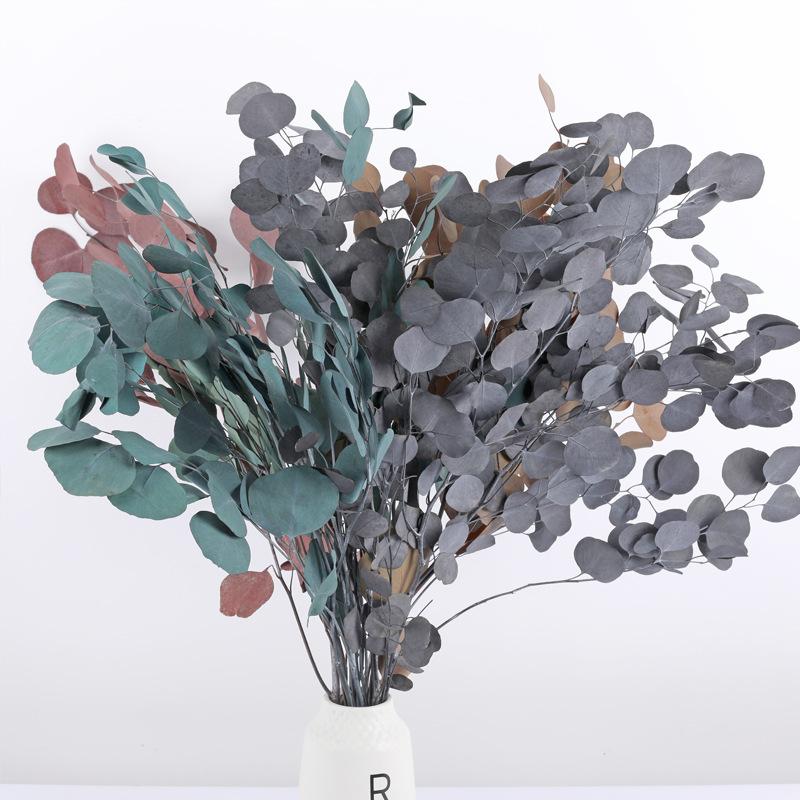 Eternal Apple Leaf New Year S Eve Flower 120G Floral Accessories Wedding Arrangement Home Flower Arrangement Eternal Apple Leaf зелений
Eternal Apple Leaf New Year S Eve Flower 120G Floral Accessories Wedding Arrangement Home Flower Arrangement Eternal Apple Leaf зелений