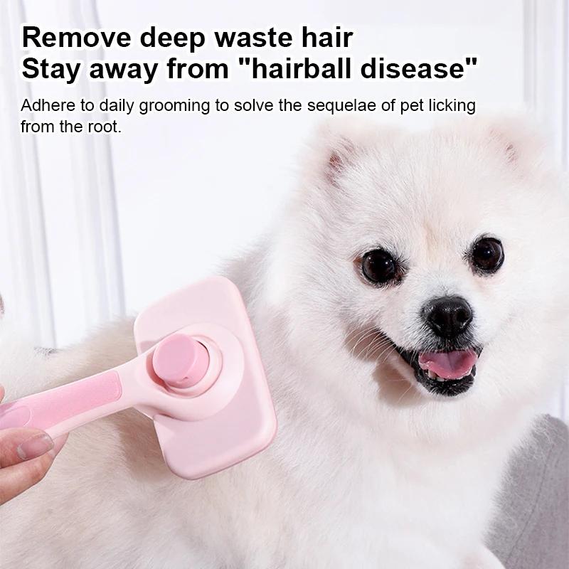 Dog Combs Self-cleaning Cat Brush Massage Dog Brush One Button Pet Hair Remover Pet Grooming Cleaning Tools Comb Cat Accessories оранжевый
Dog Combs Self-cleaning Cat Brush Massage Dog Brush One Button Pet Hair Remover Pet Grooming Cleaning Tools Comb Cat Accessories оранжевый