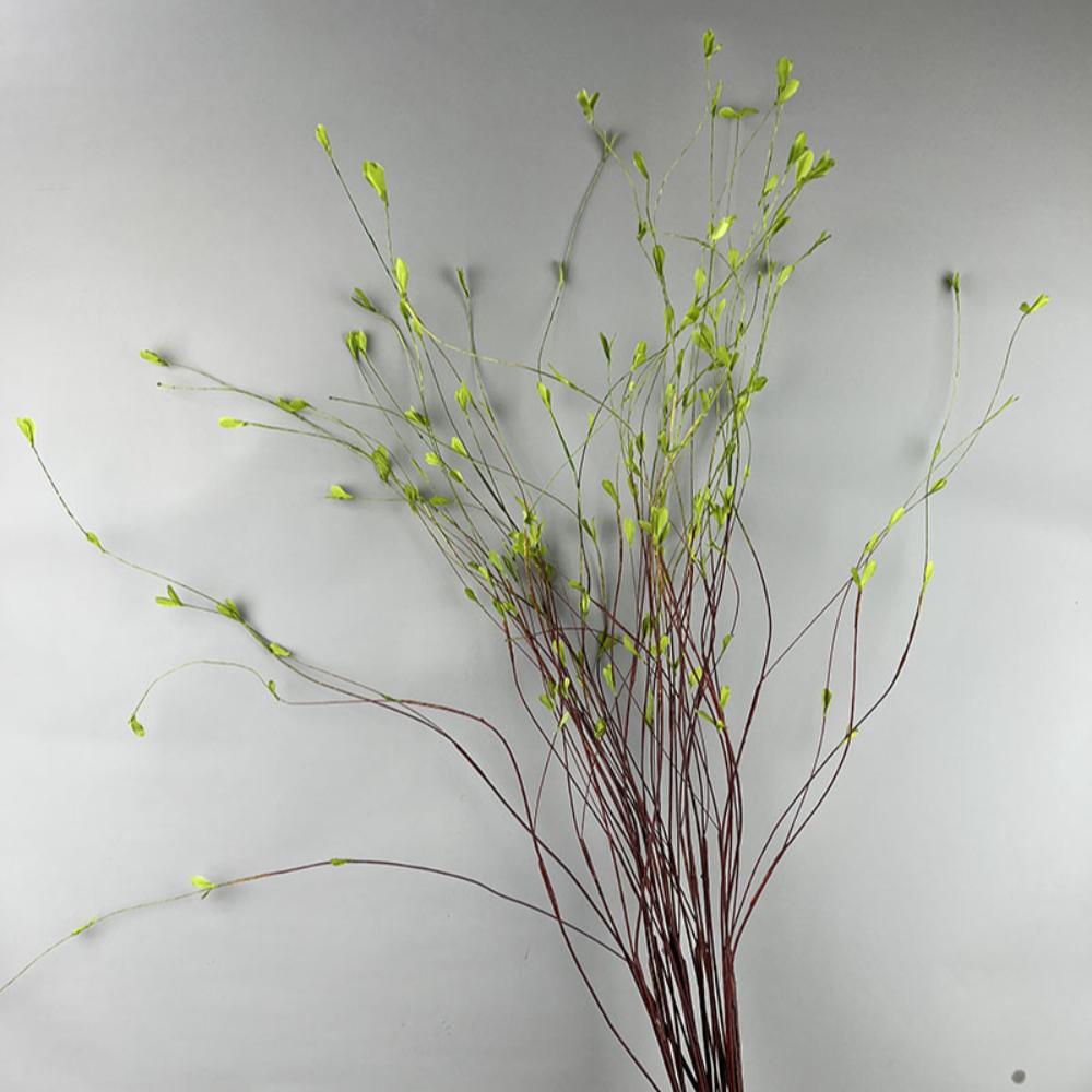 Lifelike Artificial Willow Branch Handmade Simulated Green Leaf Plants Office Desktop Decoration
Lifelike Artificial Willow Branch Handmade Simulated Green Leaf Plants Office Desktop Decoration