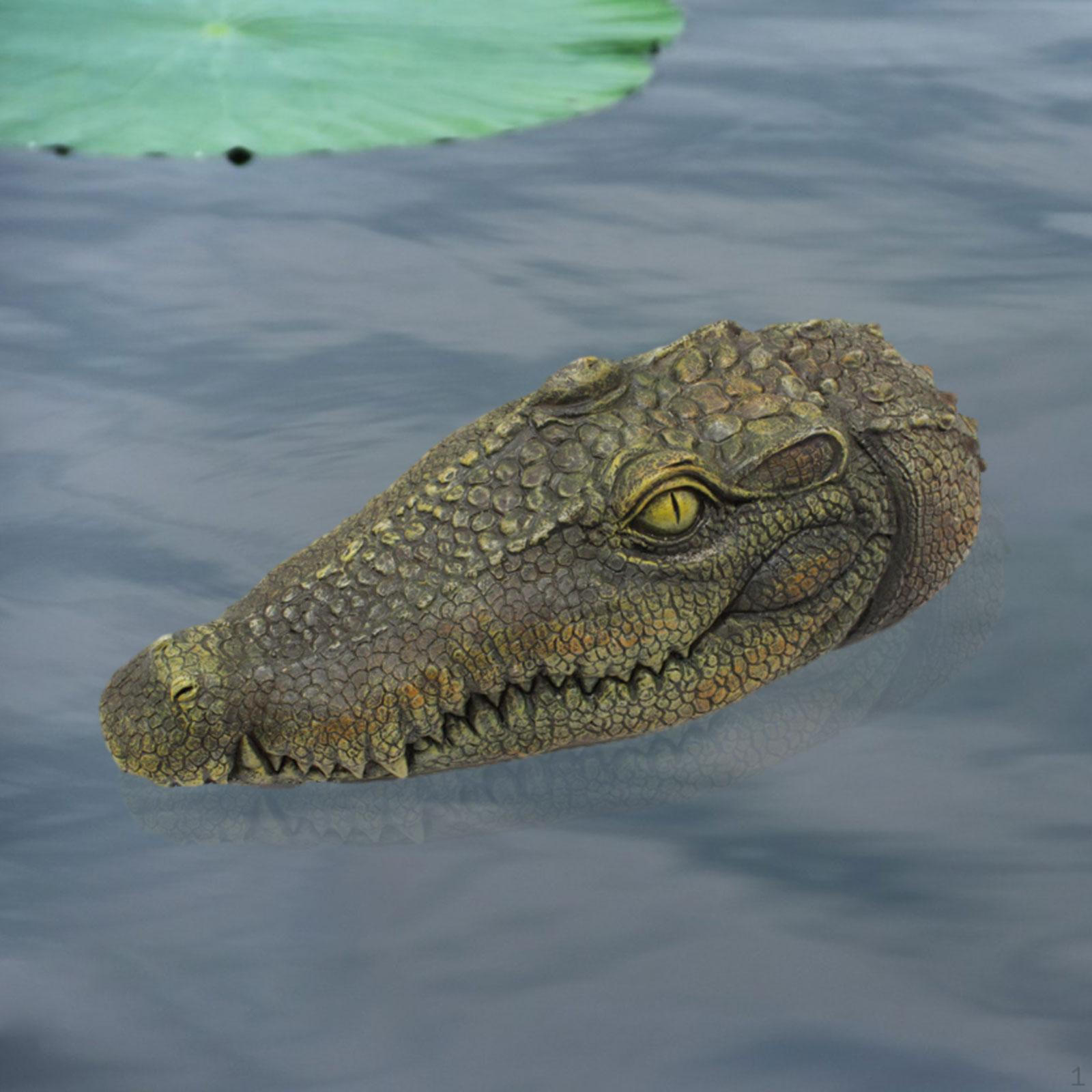 Floating Alligator Head Fake Decor Realistic Ornament Duck Deterrent Crocodile
Floating Alligator Head Fake Decor Realistic Ornament Duck Deterrent Crocodile