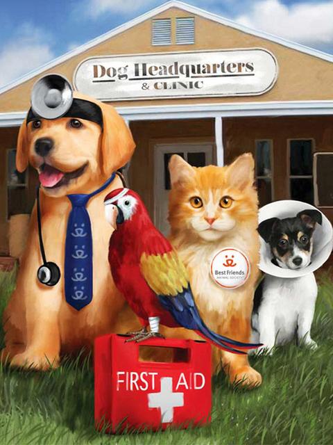 DIY Кошка Алмазная картина Собака Вышивка Мозаика Животное Ферма Новое поступление Полный квадрат Круглый крестик Ручная работа Хобби Full Round 20x30CM
DIY Кошка Алмазная картина Собака Вышивка Мозаика Животное Ферма Новое поступление Полный квадрат Круглый крестик Ручная работа Хобби Full Round 20x30CM