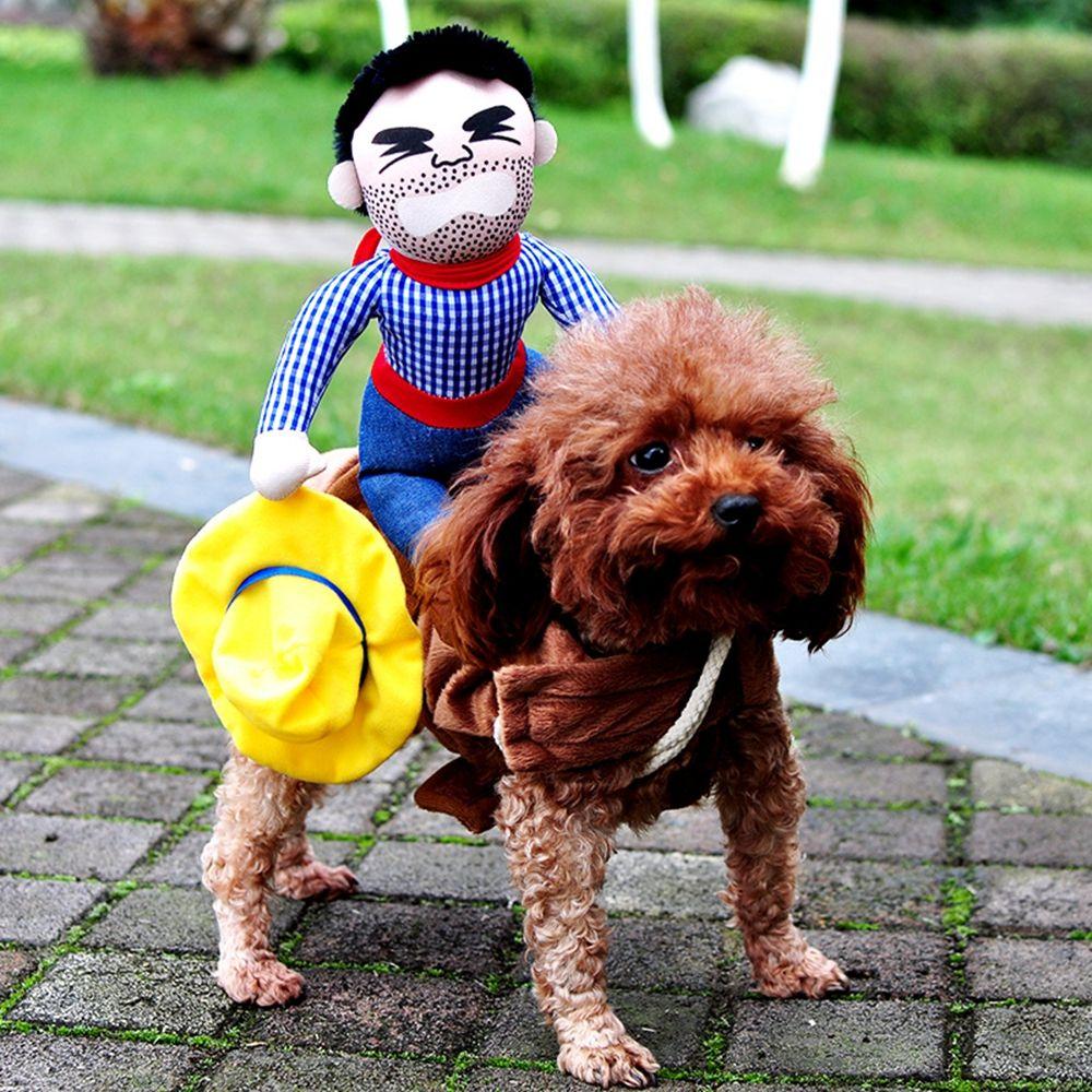 Decoration Halloween Pet Supplies Dog Costumes Halloween Decoration Haalloween Dog Clothes S
Decoration Halloween Pet Supplies Dog Costumes Halloween Decoration Haalloween Dog Clothes S