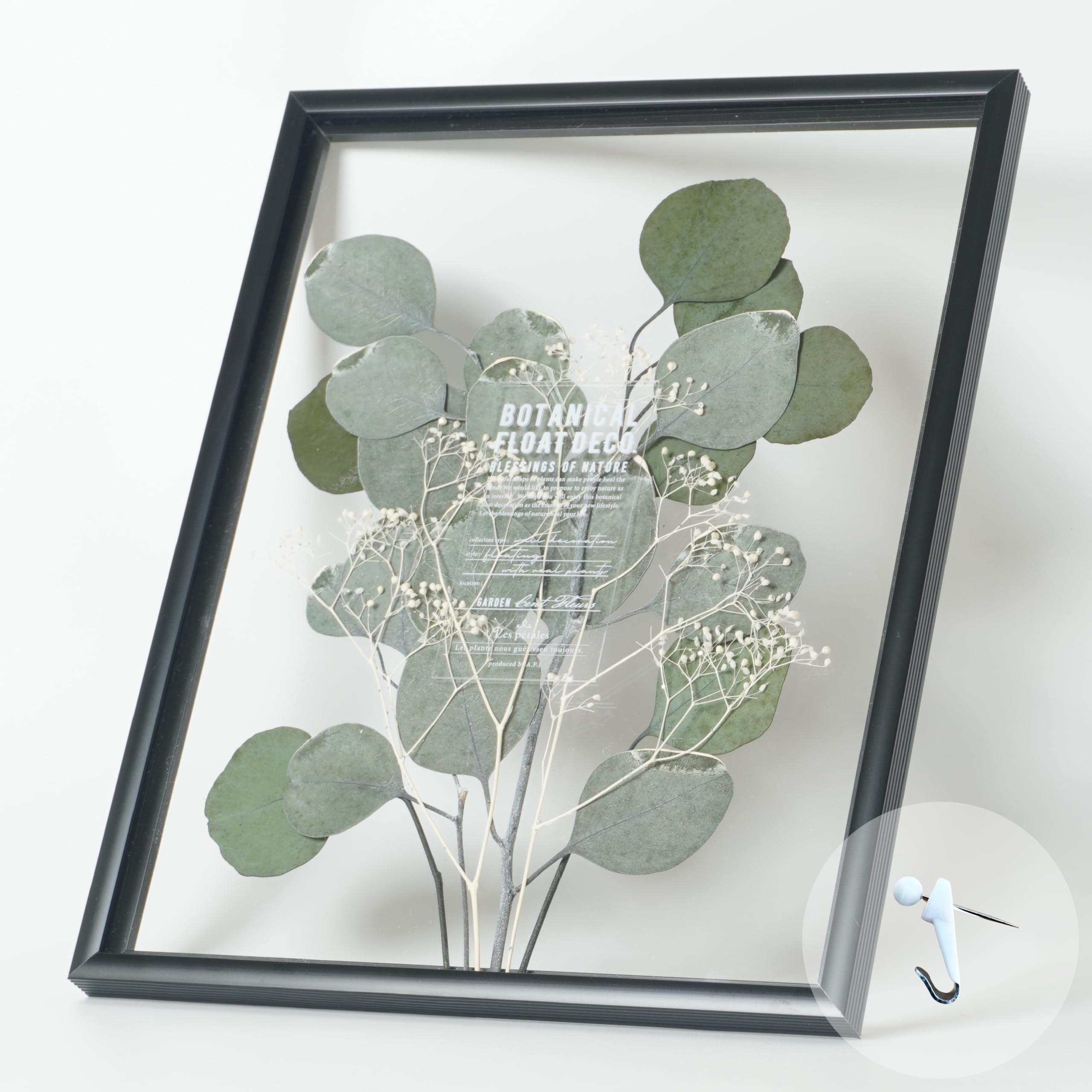 Рамка RingLeaf Botanical Float, натуральная художественная рамка, сделанная в Японии, сухоцветы, поставляется с настенным крючком для готового к демонстрации размера в дюймах x | [Misty
Рамка RingLeaf Botanical Float, натуральная художественная рамка, сделанная в Японии, сухоцветы, поставляется с настенным крючком для готового к демонстрации размера в дюймах x | [Misty