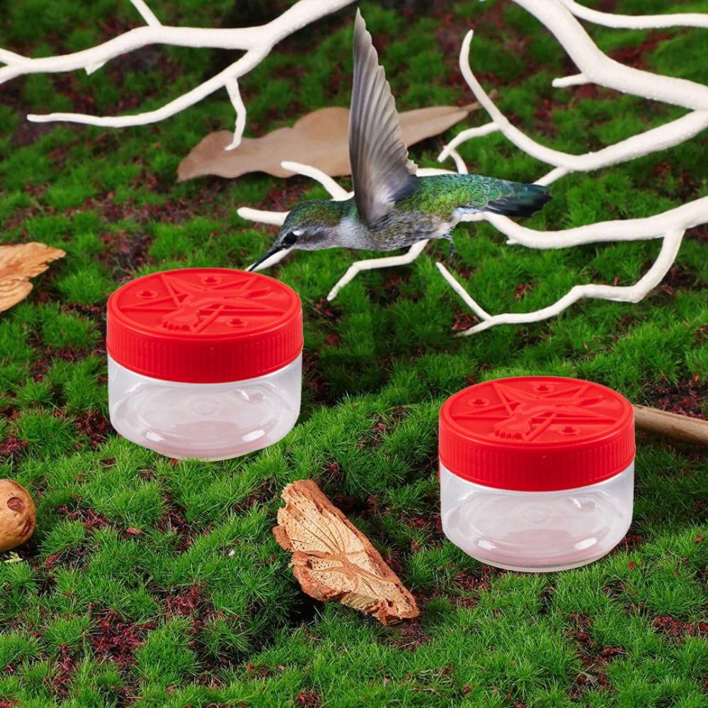 for Outdoor Pigeon Food Container Hummingbird Feeders Window Bird Feeders Hummingbird Food Holder
for Outdoor Pigeon Food Container Hummingbird Feeders Window Bird Feeders Hummingbird Food Holder