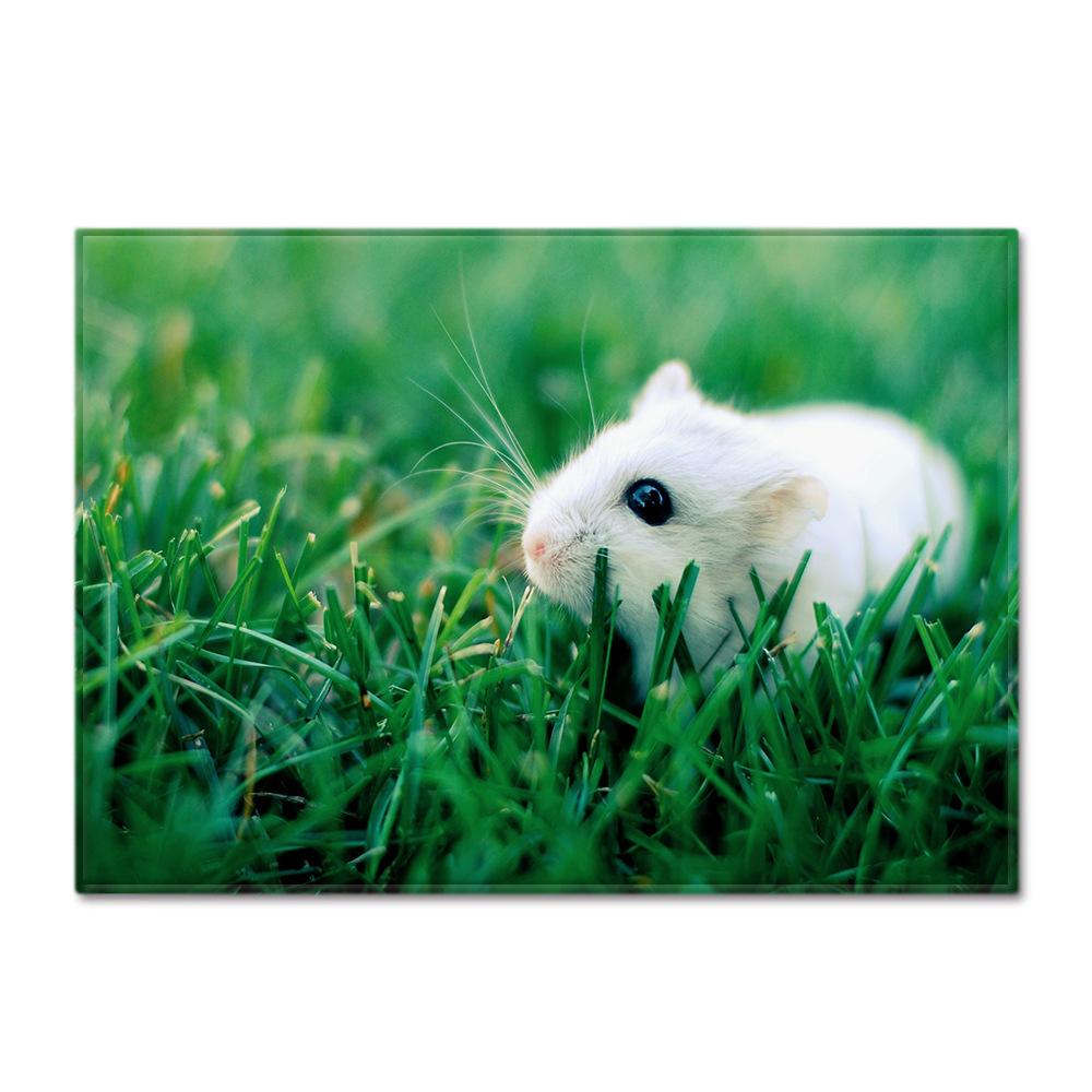 Animal Large Carpet Feather Wind Bedroom Floor Mat 1.5*1
Animal Large Carpet Feather Wind Bedroom Floor Mat 1.5*1