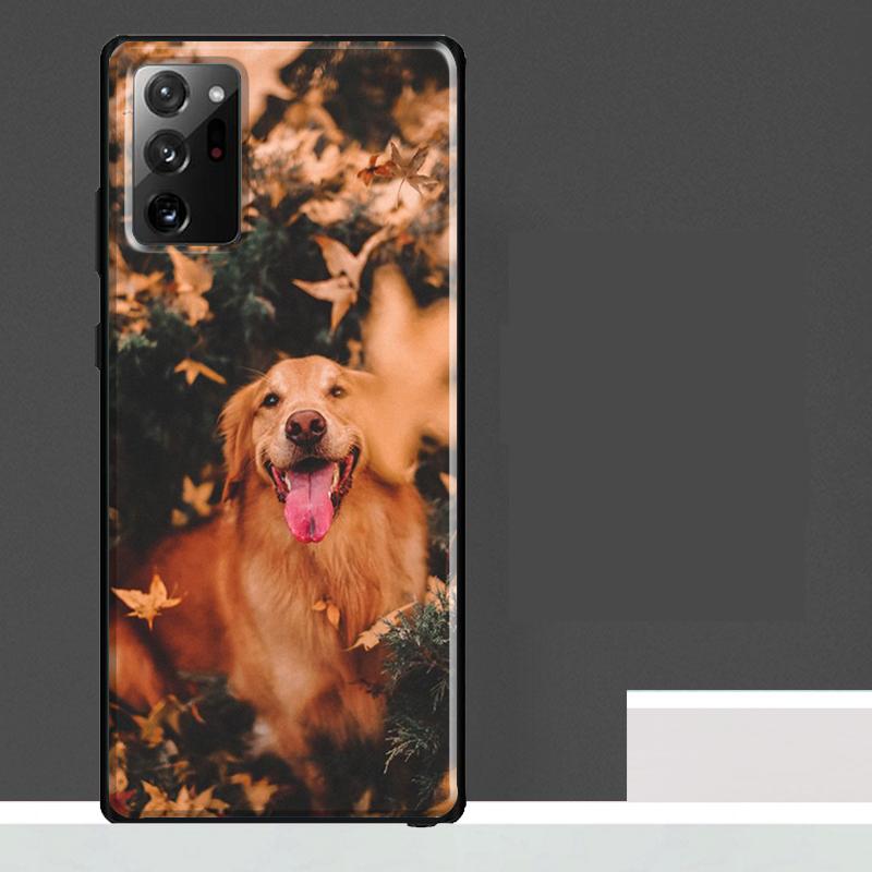 Golden Retriever Friend Case For Samsung Galaxy S25 Ultra S23 S22 S21 S24 Ultra S9 S10 S20 Plus S25 FE Phone Cover Galaxy S10
Golden Retriever Friend Case For Samsung Galaxy S25 Ultra S23 S22 S21 S24 Ultra S9 S10 S20 Plus S25 FE Phone Cover Galaxy S10