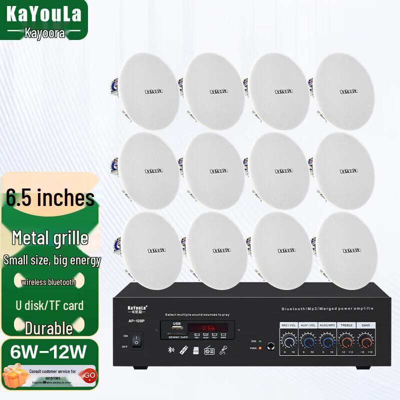 KaYouLa Conference Ceiling Speaker System (CN version)
KaYouLa Conference Ceiling Speaker System (CN version)