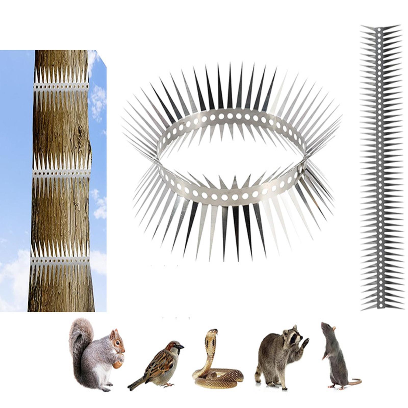 Шипи від птахів Захист від птахів Білок Єнотів Щурів Шипи Шипи для Стін Сараїв Паркану Даху та Кори Дерев one size срібний
Шипи від птахів Захист від птахів Білок Єнотів Щурів Шипи Шипи для Стін Сараїв Паркану Даху та Кори Дерев one size срібний