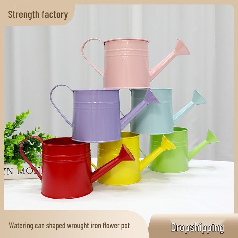 Colorful Creative Watering Can Bouquet: Handmade Floral Art Gift for Teacher s Day 11cm Diameter * 12cm Base * 11.5cm Height
Colorful Creative Watering Can Bouquet: Handmade Floral Art Gift for Teacher s Day 11cm Diameter * 12cm Base * 11.5cm Height