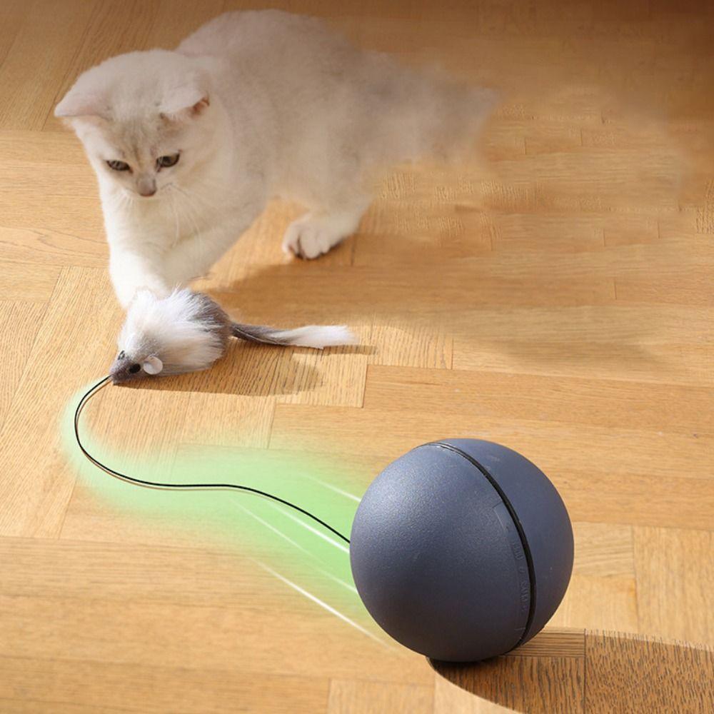 Игрушки для кошек, устойчивые к укусам, мышка, дразнящий мяч, ABS, автоматическая движущаяся игрушка для кошек, играющая серый
Игрушки для кошек, устойчивые к укусам, мышка, дразнящий мяч, ABS, автоматическая движущаяся игрушка для кошек, играющая серый