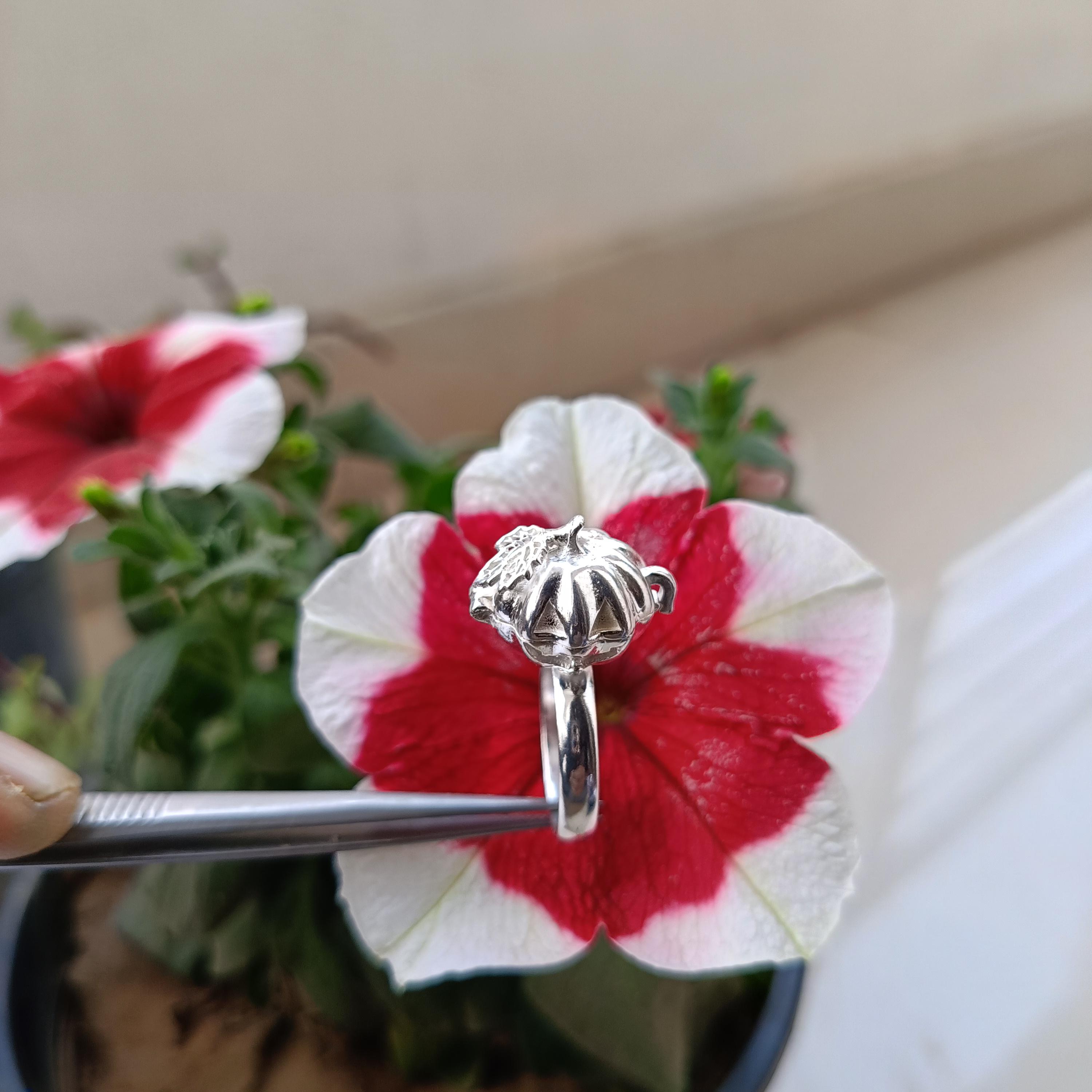 Pumpkin Silver filled Ring, Pumpkin Poison Lafe Ring. Handmade Lafe Poison Ring, Handmade pill box Pumpkin Lafe Ring, valentine day gift, 6 срібний
Pumpkin Silver filled Ring, Pumpkin Poison Lafe Ring. Handmade Lafe Poison Ring, Handmade pill box Pumpkin Lafe Ring, valentine day gift, 6 срібний