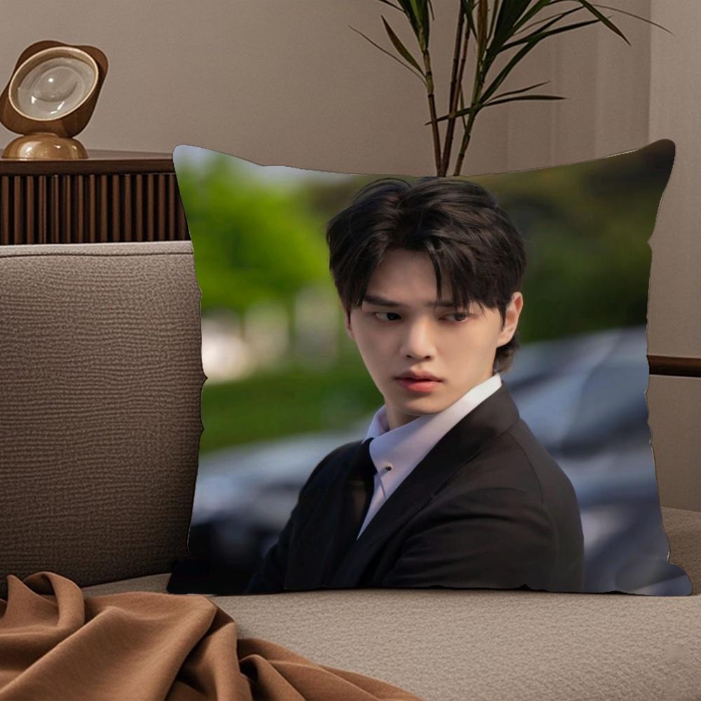 Korean SSong KKang Pillow Case Silky elegant Comfort Sofa Bed Invisible zipper 30X30cm
Korean SSong KKang Pillow Case Silky elegant Comfort Sofa Bed Invisible zipper 30X30cm