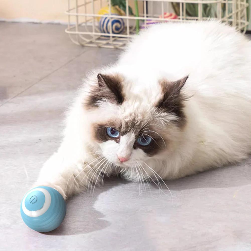 Самокатящиеся аксессуары для кошек Игрушки для котят Игрушки для кошек Самоходные игрушки для домашних животных Электрические игрушки для кошек Мячи Товары Главная 42mm
Самокатящиеся аксессуары для кошек Игрушки для котят Игрушки для кошек Самоходные игрушки для домашних животных Электрические игрушки для кошек Мячи Товары Главная 42mm