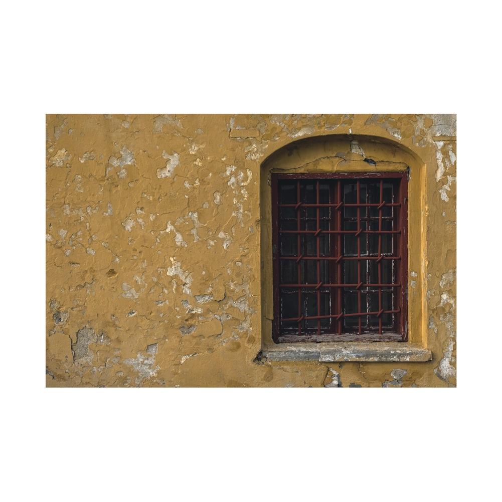 Деревенский фон для фотосъемки с кирпичной стеной, для крестин, мероприятий и фестивалей, фотобудок и тематических событий, ткань для фона для вечеринки, декор 5*3ft (150*100cm)
Деревенский фон для фотосъемки с кирпичной стеной, для крестин, мероприятий и фестивалей, фотобудок и тематических событий, ткань для фона для вечеринки, декор 5*3ft (150*100cm)