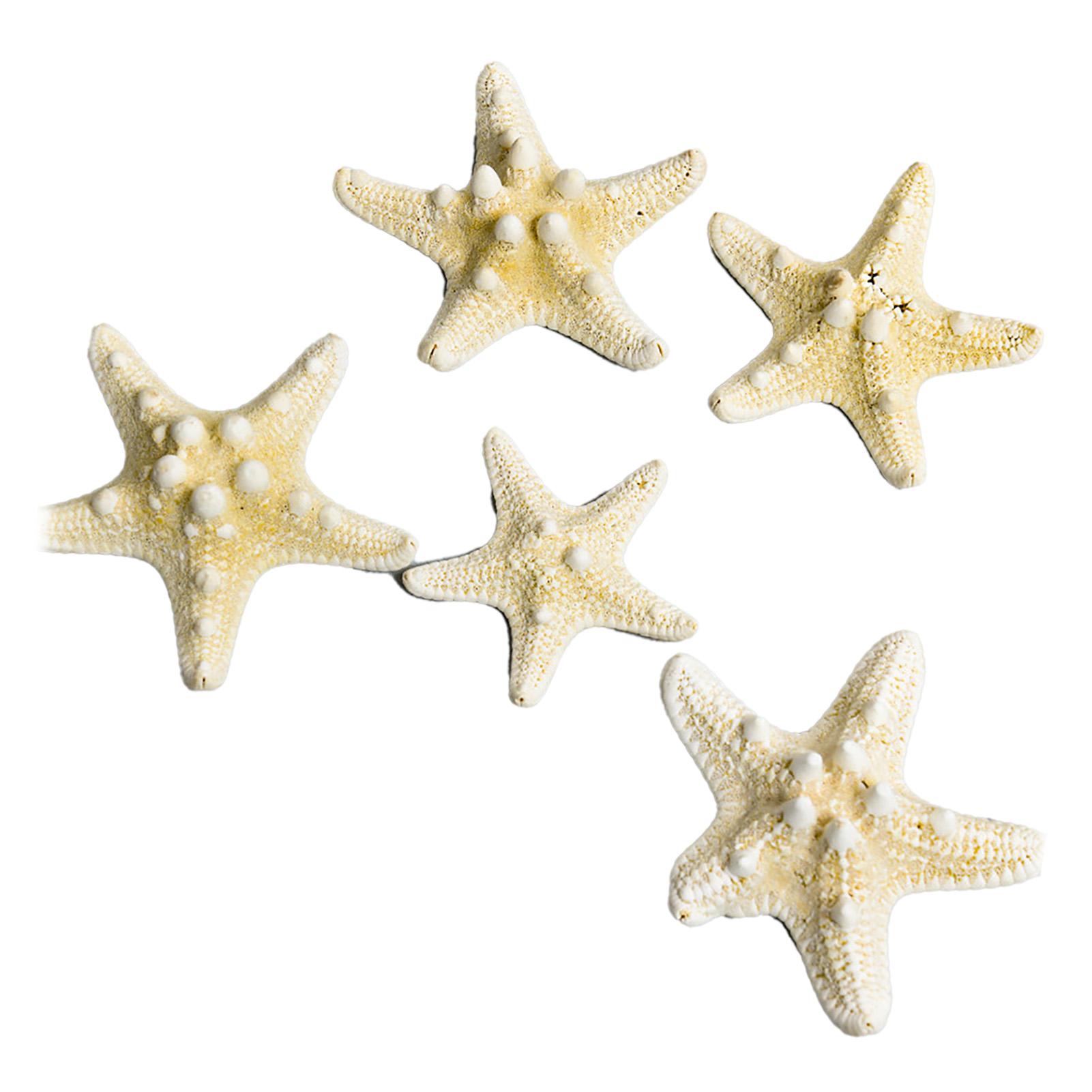 Fish Tank Starfish Decor Unique Beautiful Starfish Ornament Set for Home Aquarium DIY Photo Frame Wind Chime Type 1
Fish Tank Starfish Decor Unique Beautiful Starfish Ornament Set for Home Aquarium DIY Photo Frame Wind Chime Type 1