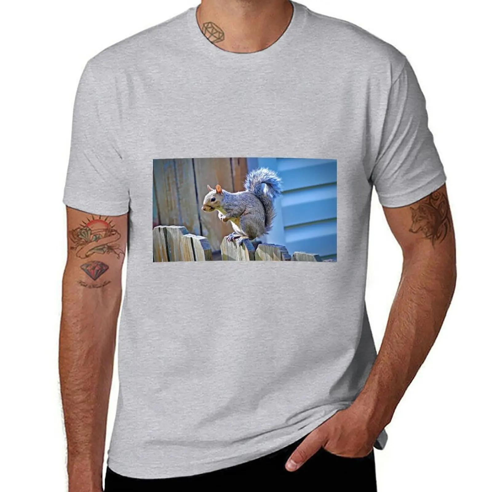 Squirrel Stalking 1 TShirt quickdrying sports fans oversized mens t shirts casual stylish S
Squirrel Stalking 1 TShirt quickdrying sports fans oversized mens t shirts casual stylish S